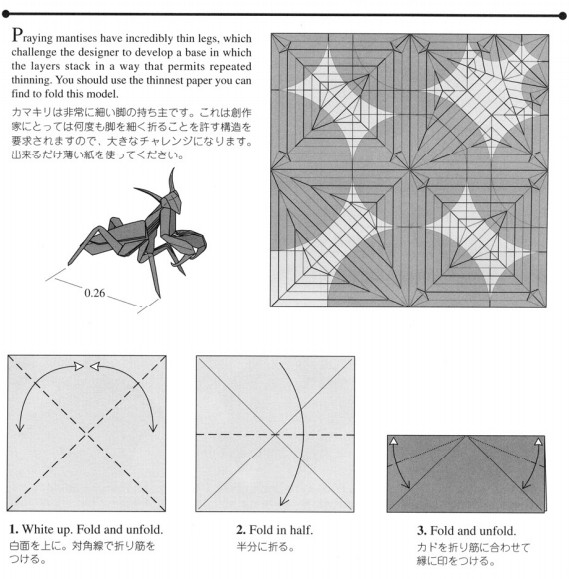 折纸螳螂的基本折法图解教程帮助你制作出真实的折纸螳螂来
